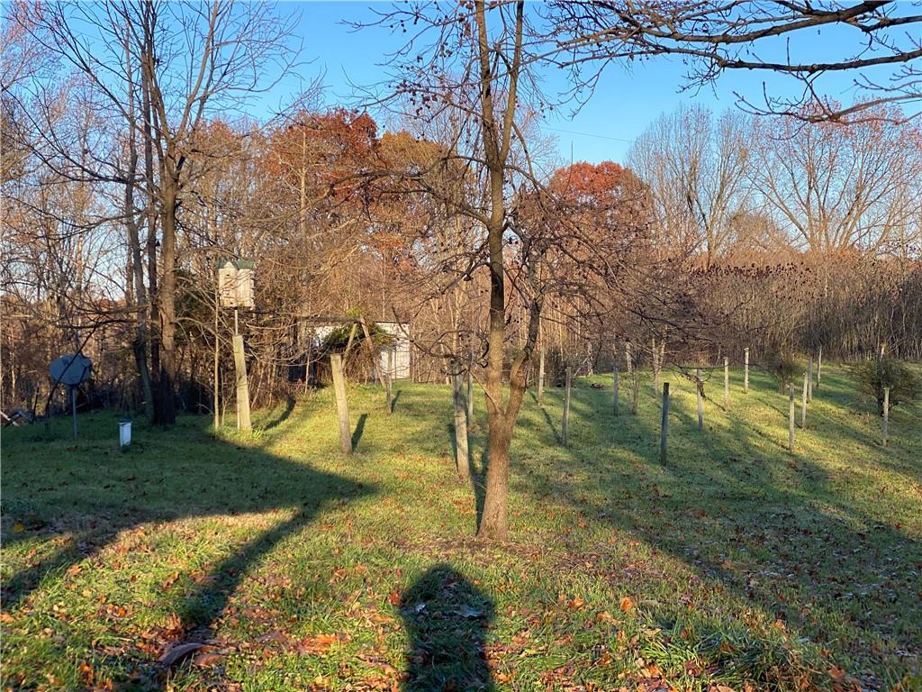 2645 East Macel Road Bloomfield, IN 47424 - Photo 4 of 15