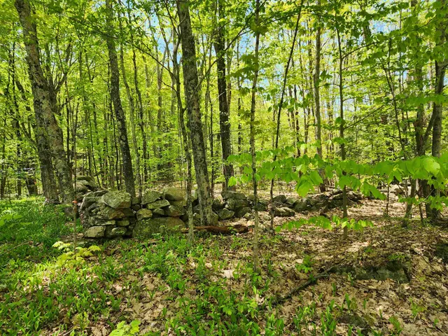 $69,900 | 0 South Village Road, Unit R1313, Westmoreland, NH 03467