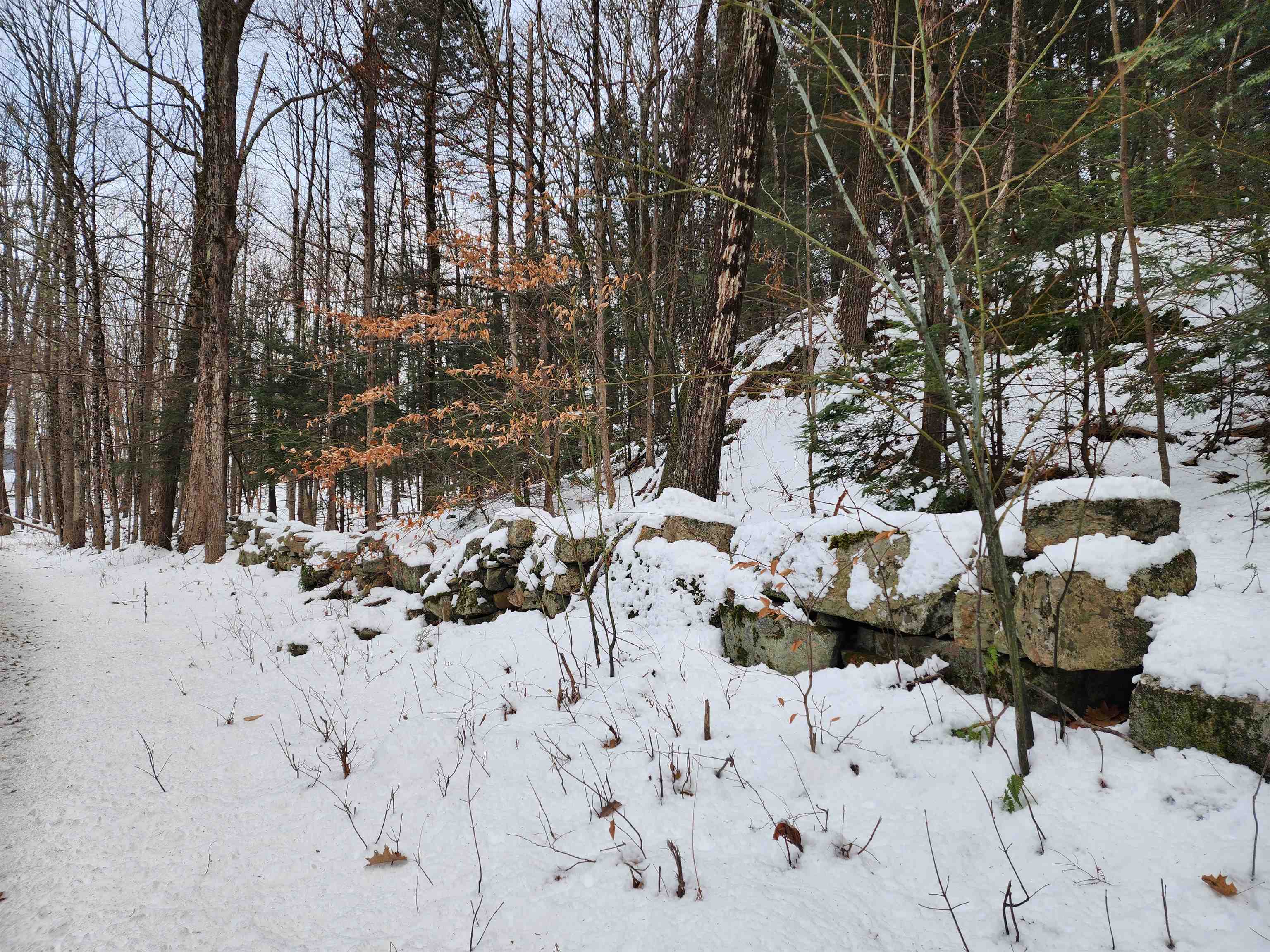 0 South Village Road, Unit R1313 Westmoreland, NH 03467 - Photo 11 of 24