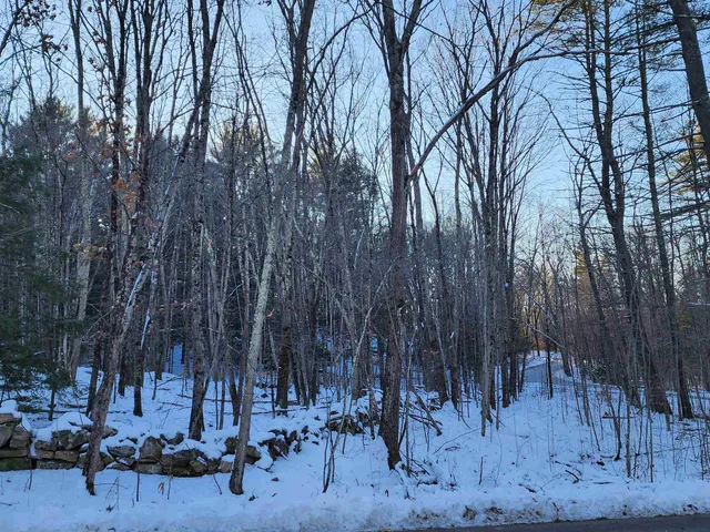 $69,900 | 0 South Village Road, Unit R1313, Westmoreland, NH 03467