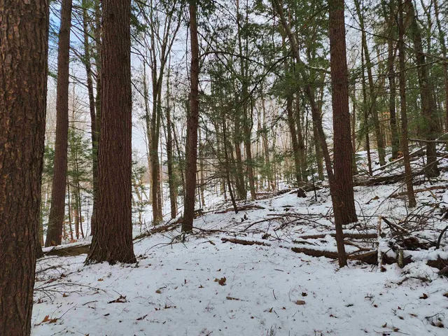 $69,900 | 0 South Village Road, Unit R1313, Westmoreland, NH 03467