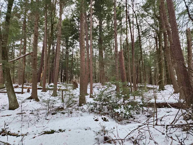 $69,900 | 0 South Village Road, Unit R1313, Westmoreland, NH 03467