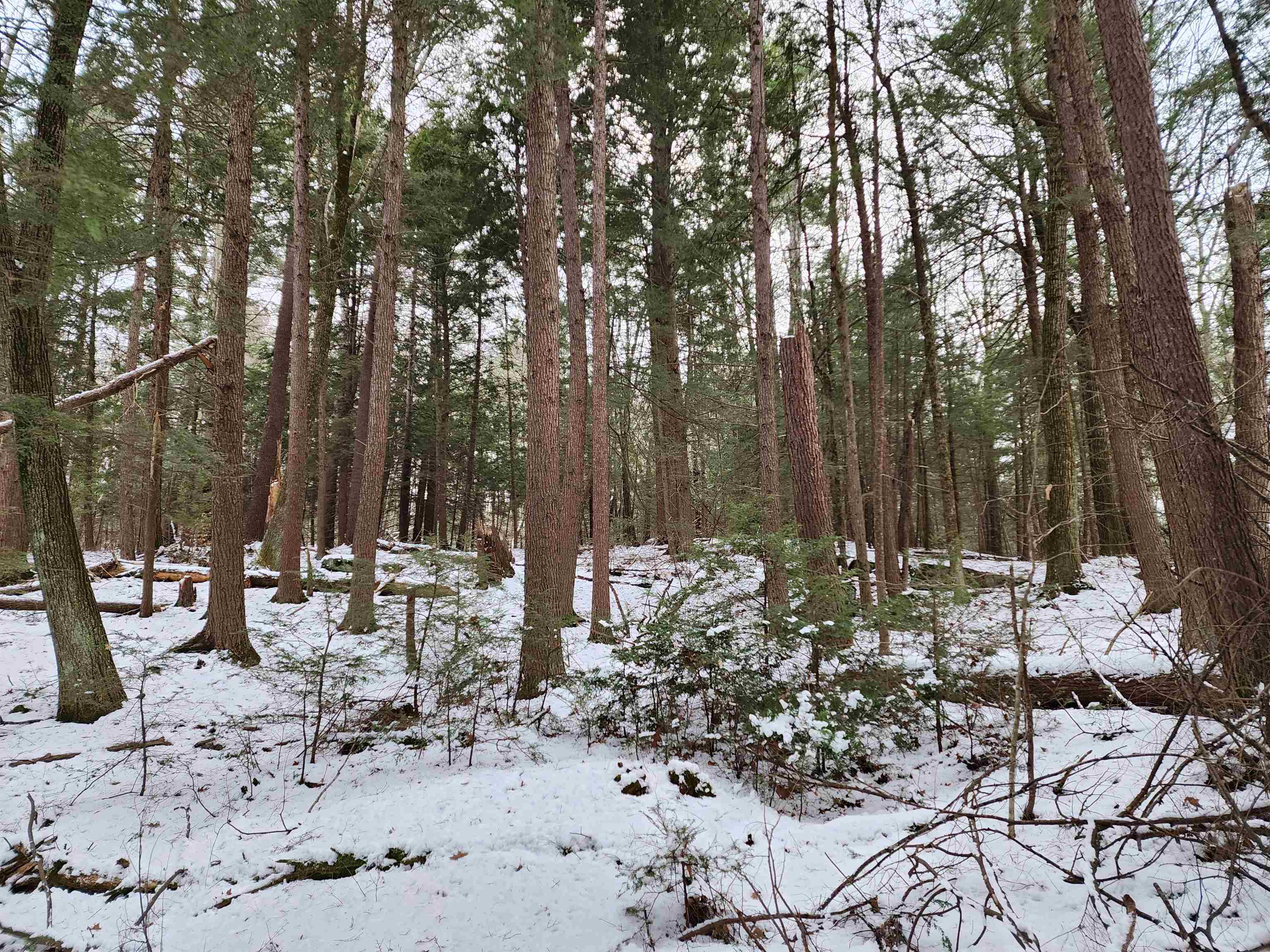 0 South Village Road, Unit R1313 Westmoreland, NH 03467 - Photo 16 of 24