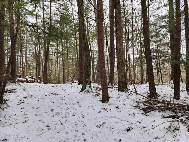 $69,900 | 0 South Village Road, Unit R1313, Westmoreland, NH 03467