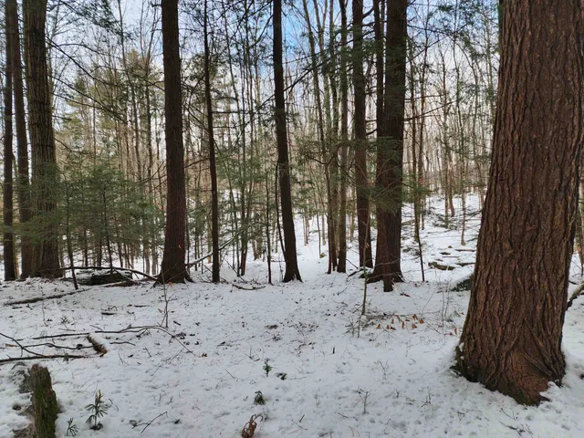 $69,900 | 0 South Village Road, Unit R1313, Westmoreland, NH 03467