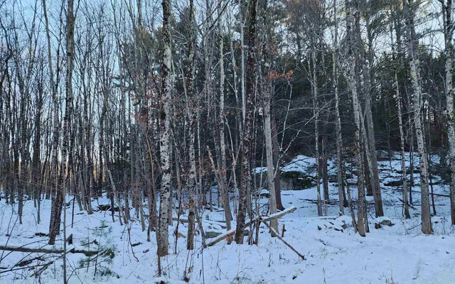 $69,900 | 0 South Village Road, Unit R1313, Westmoreland, NH 03467