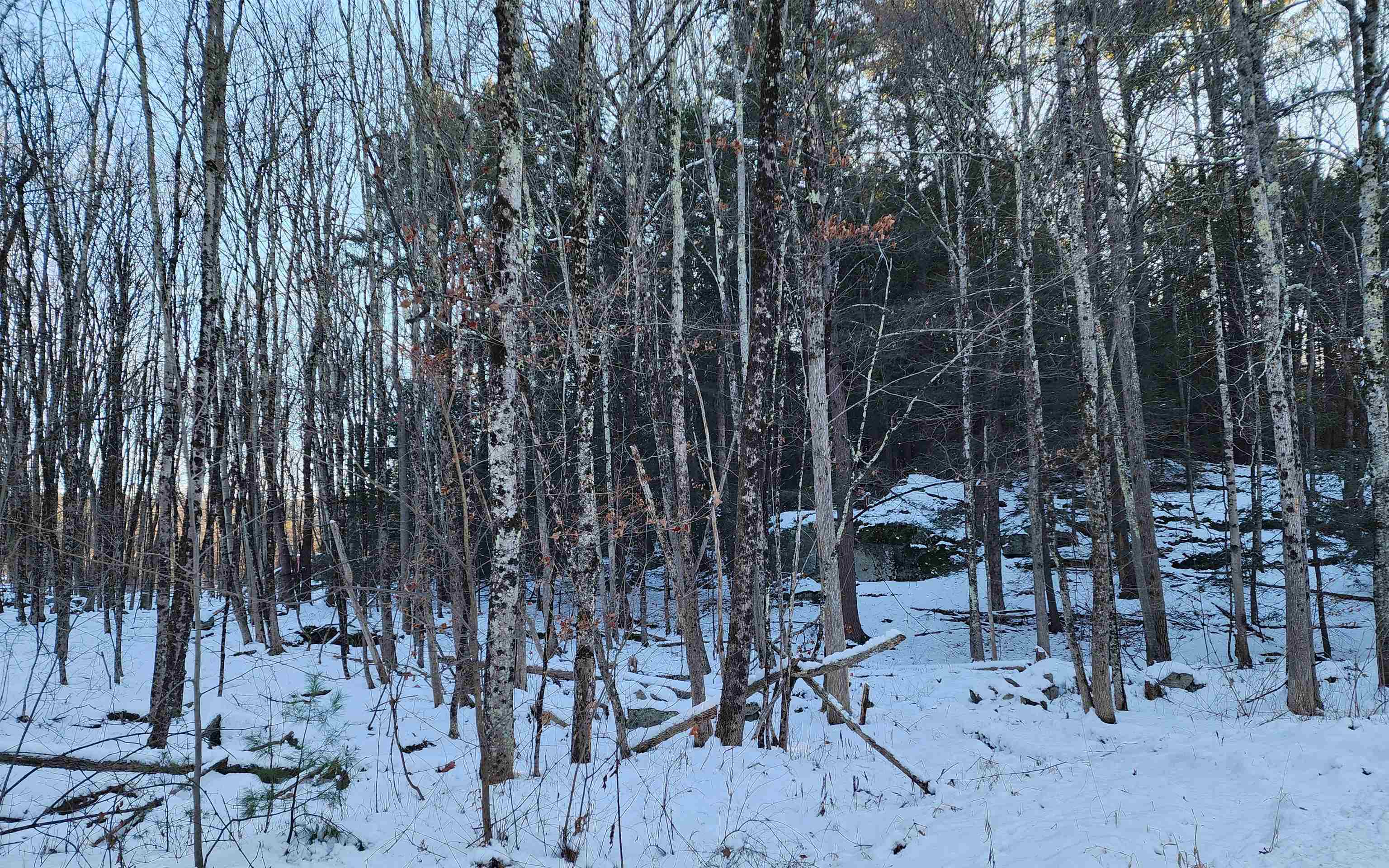 0 South Village Road, Unit R1313 Westmoreland, NH 03467 - Photo 20 of 24