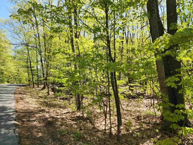 $69,900 | 0 South Village Road, Unit R1313, Westmoreland, NH 03467