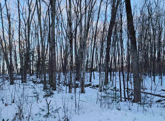 $69,900 | 0 South Village Road, Unit R1313, Westmoreland, NH 03467