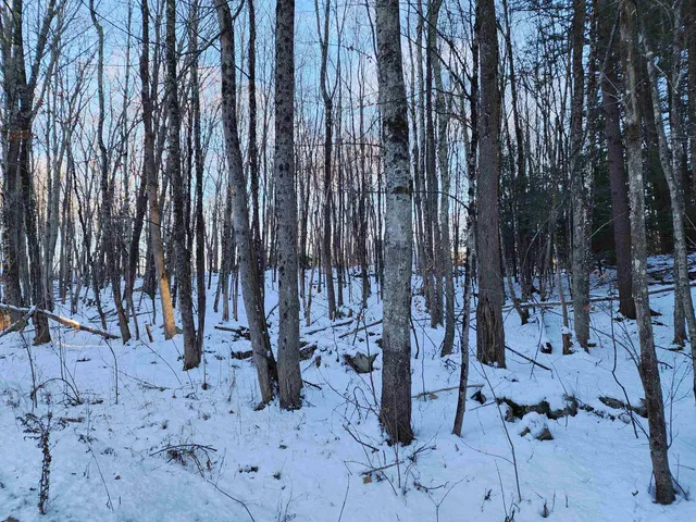 $69,900 | 0 South Village Road, Unit R1313, Westmoreland, NH 03467