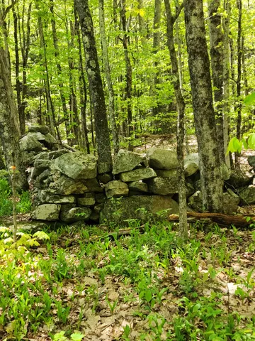 $69,900 | 0 South Village Road, Unit R1313, Westmoreland, NH 03467