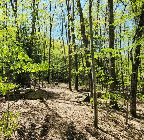 $69,900 | 0 South Village Road, Unit R1313, Westmoreland, NH 03467