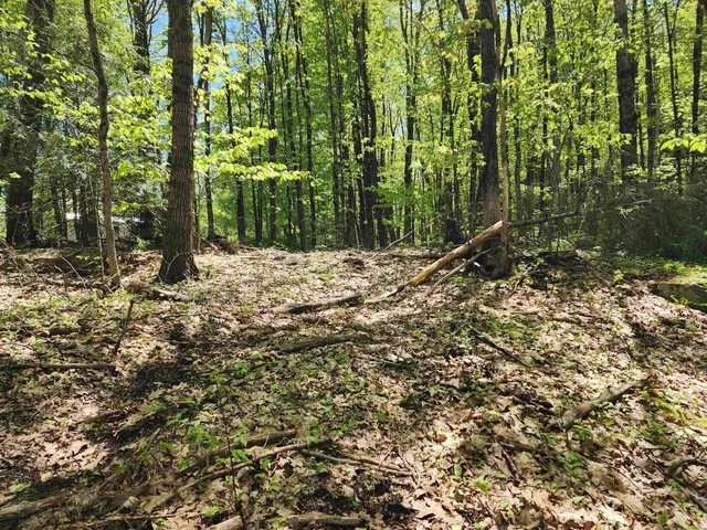 $69,900 | 0 South Village Road, Unit R1313, Westmoreland, NH 03467