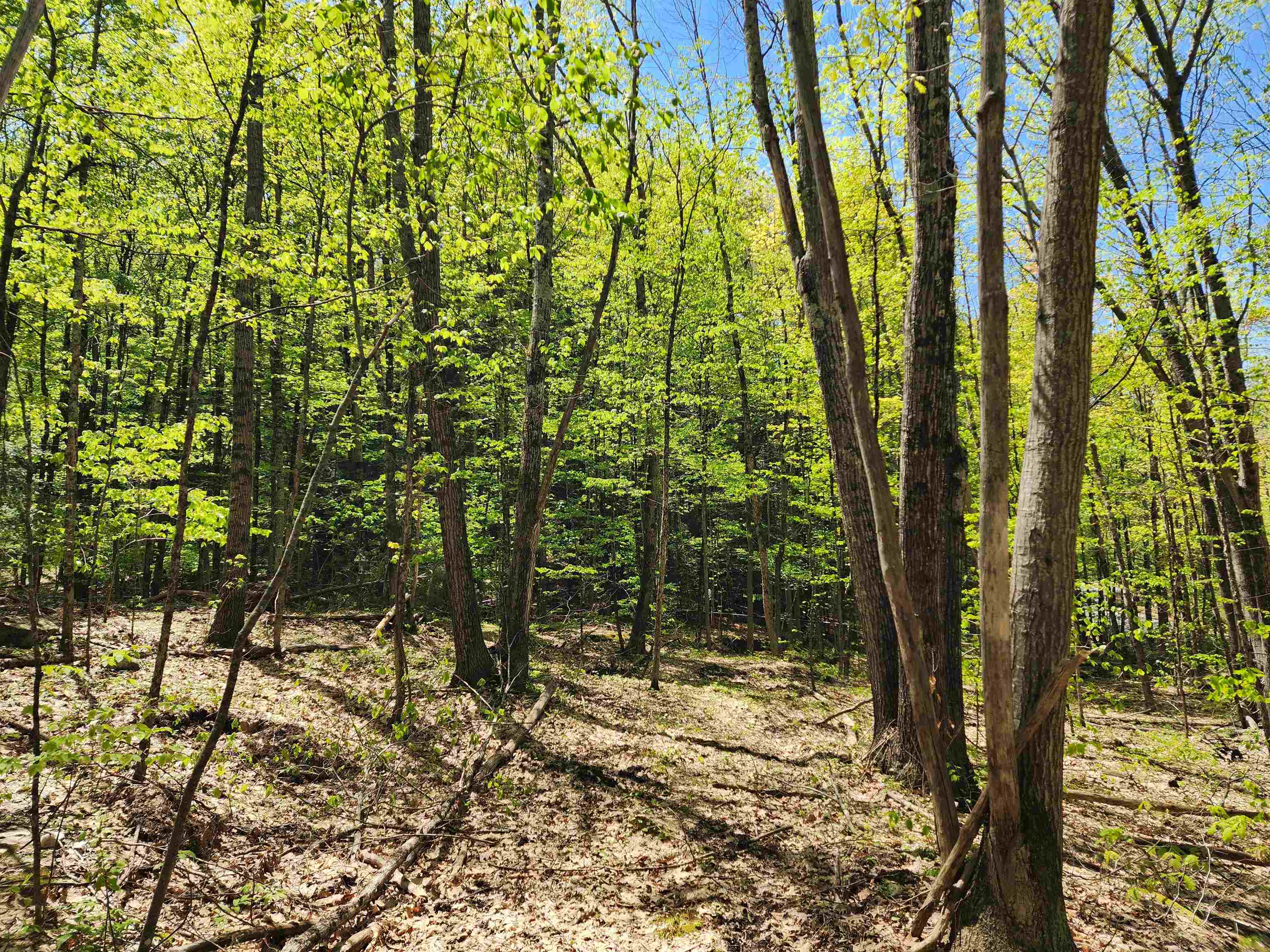 0 South Village Road, Unit R1313 Westmoreland, NH 03467 - Photo 6 of 24