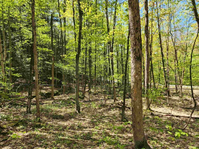 $69,900 | 0 South Village Road, Unit R1313, Westmoreland, NH 03467