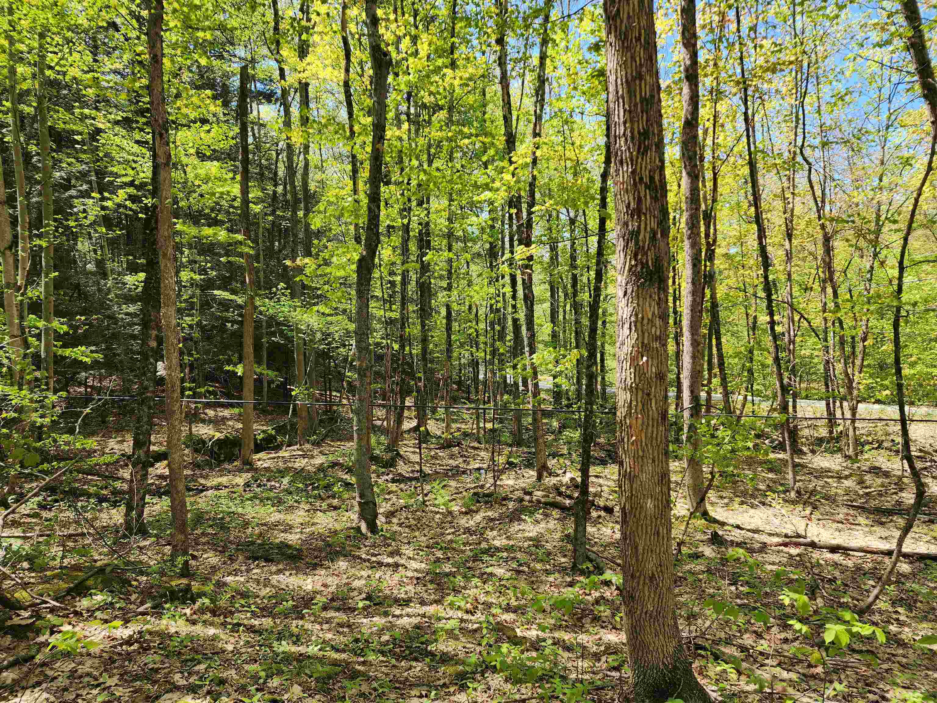 0 South Village Road, Unit R1313 Westmoreland, NH 03467 - Photo 7 of 24