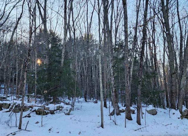 $69,900 | 0 South Village Road, Unit R1313, Westmoreland, NH 03467