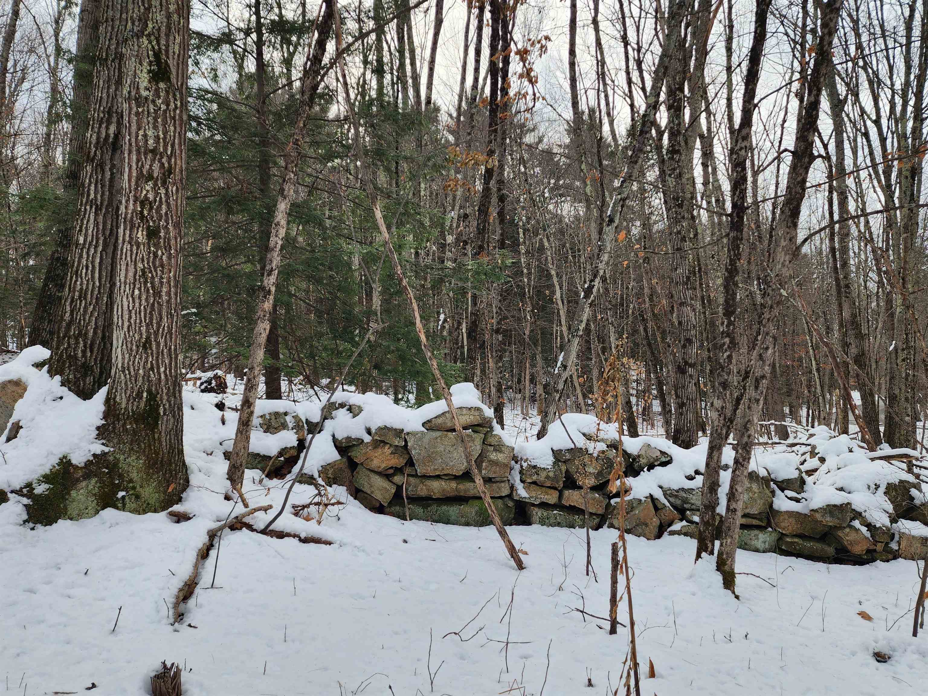 0 South Village Road, Unit R1313 Westmoreland, NH 03467 - Photo 10 of 24