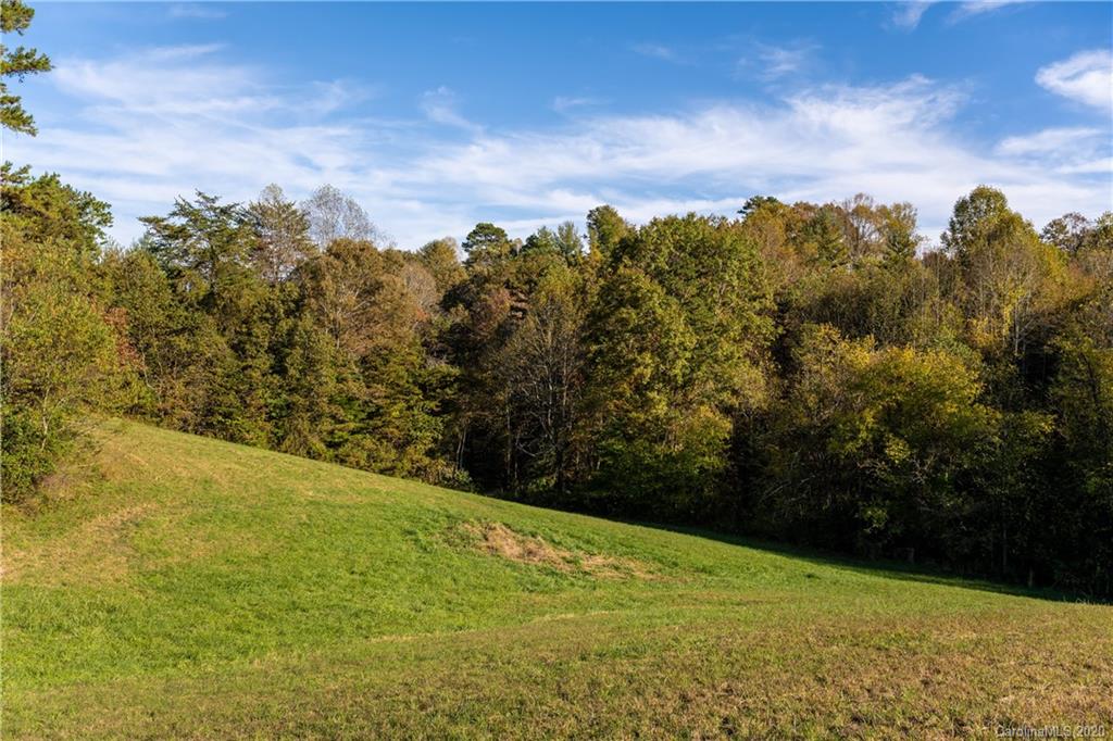 316 Gouges Branch Road Leicester, NC 28748 - Photo 34 of 41