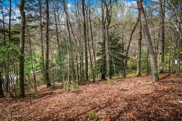 $45,000 | Lot 1 Wolf Creek Estates, Mineral Bluff, GA 30559