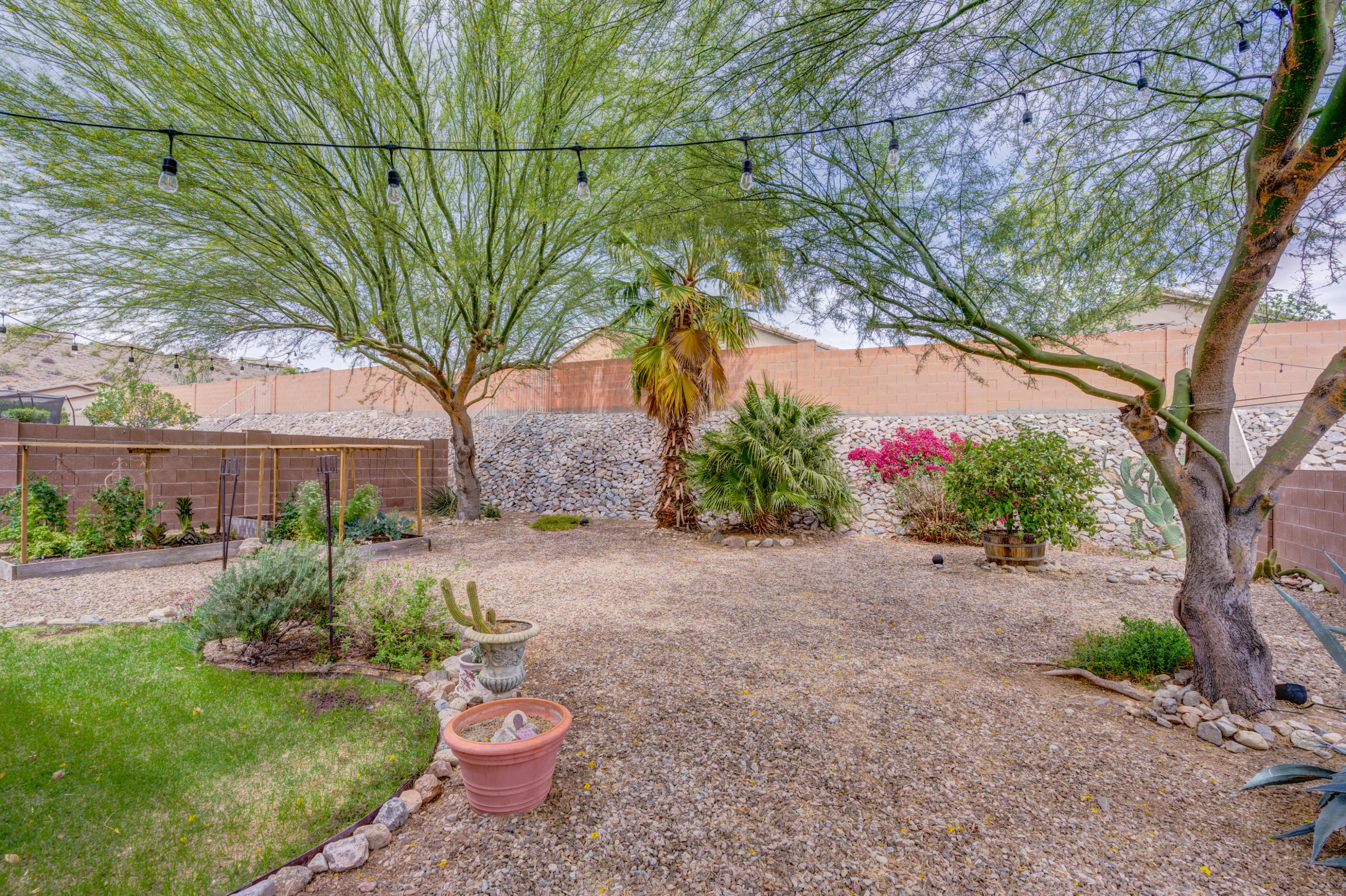 39131 Rodeo Buckle Drive Tucson, AZ 85739 - Photo 41 of 49