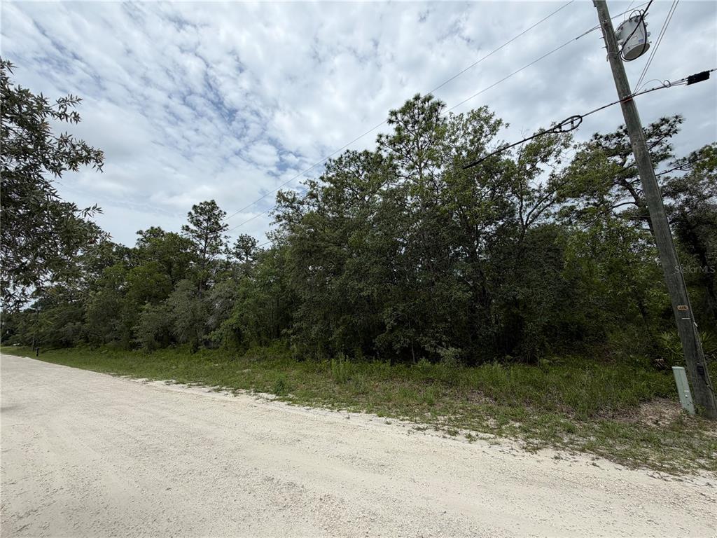 18011 Nutcracker Road Weeki Wachee, FL 34614 - Photo 7 of 10