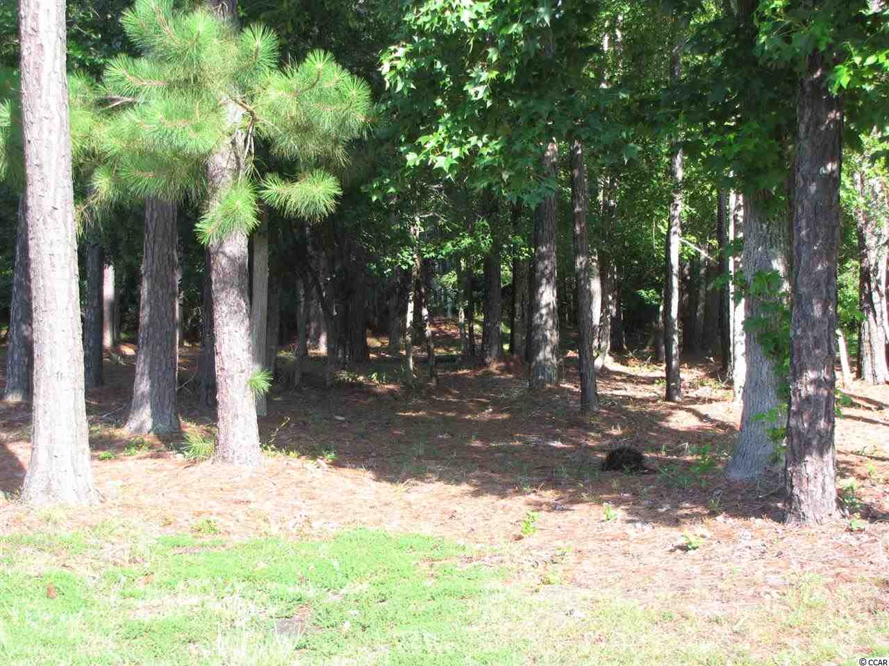 Lot 120 Rudder Court Conway, SC 29526 - Photo 2 of 6 Gallery Image 2