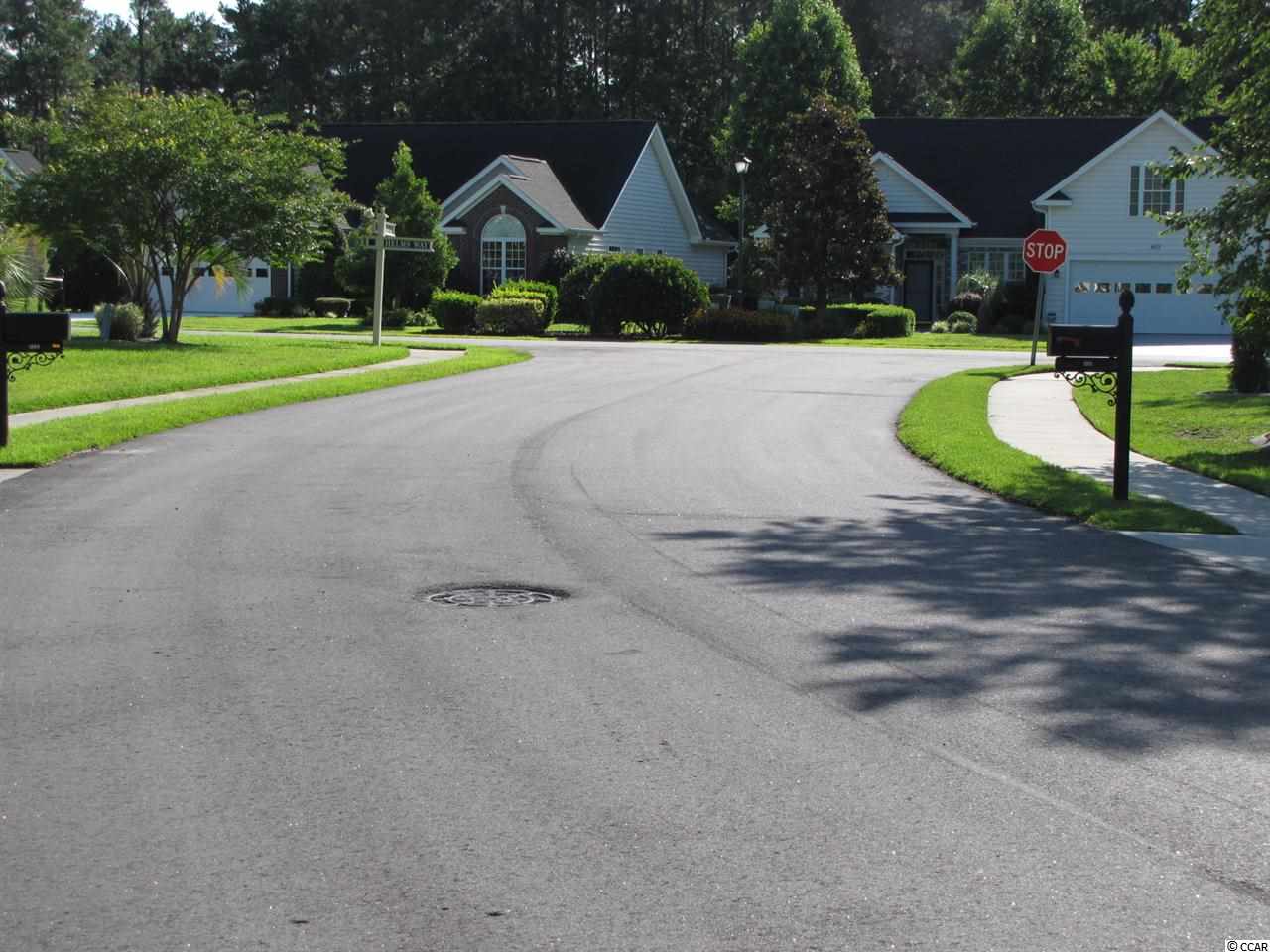Lot 120 Rudder Court Conway, SC 29526 - Photo 3 of 6 Gallery Image 3