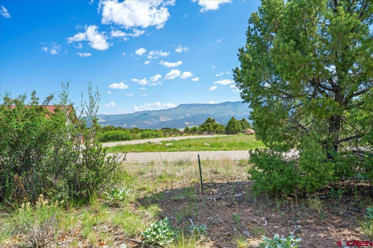 802 Pine Drive Ridgway, CO 81432 - Photo 12 of 14 Gallery Image 12