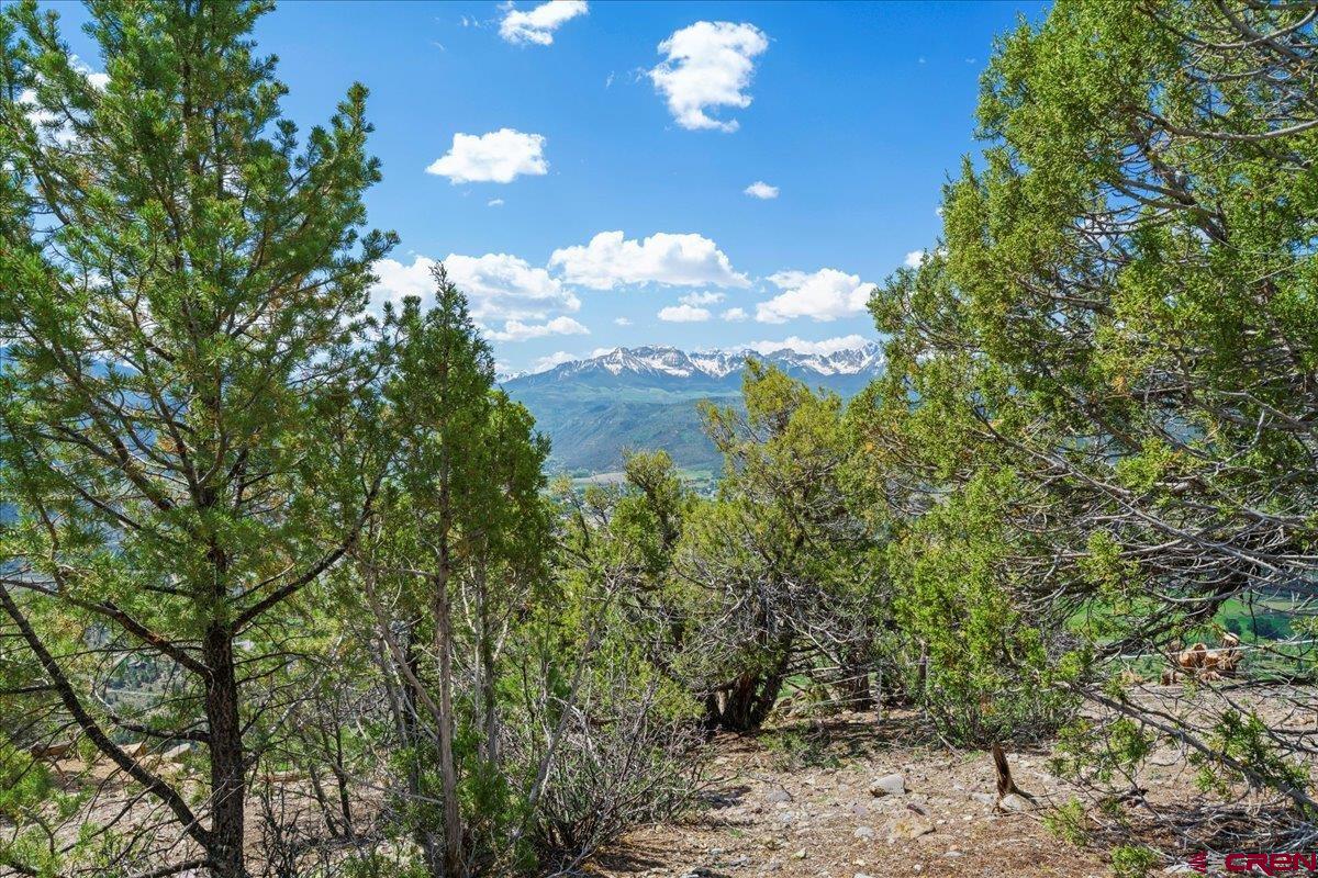 802 Pine Drive Ridgway, CO 81432 - Photo 9 of 14 Gallery Image 9
