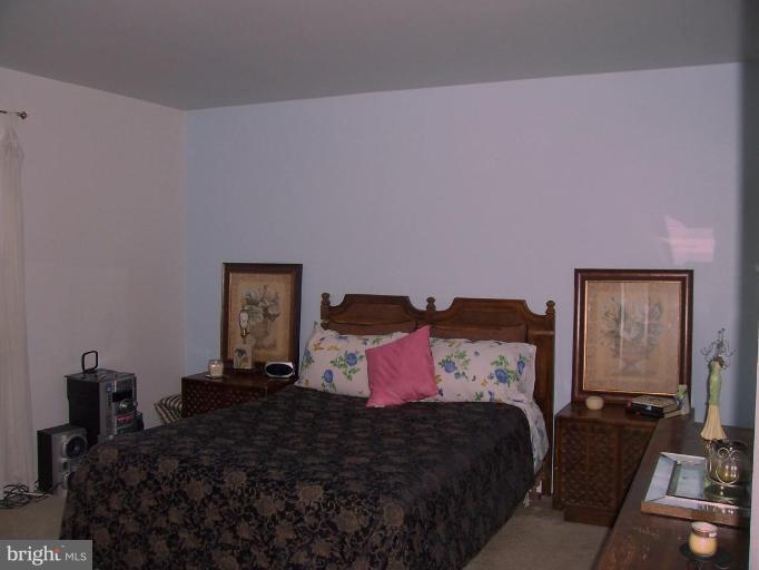 3707 Lamoine Road Randallstown, MD 21133 - Photo 10 of 14 Master Bedroom