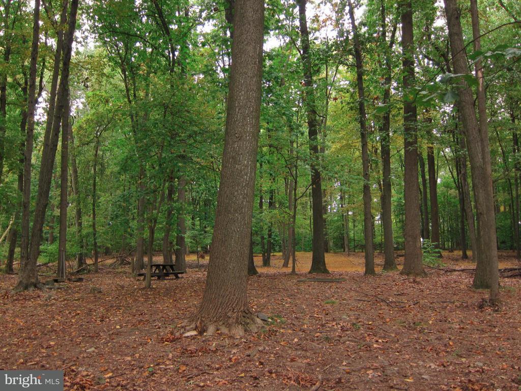 229 Old Mine Road Lebanon, PA 17042 - Photo 17 of 46 Gallery Image 17