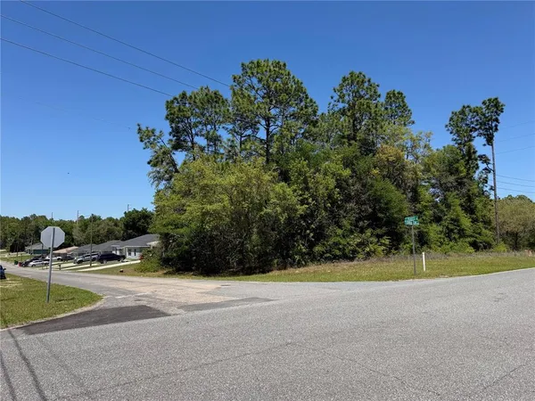 $54,000 | 8975 North Travis Drive, Citrus Springs, FL 34434
