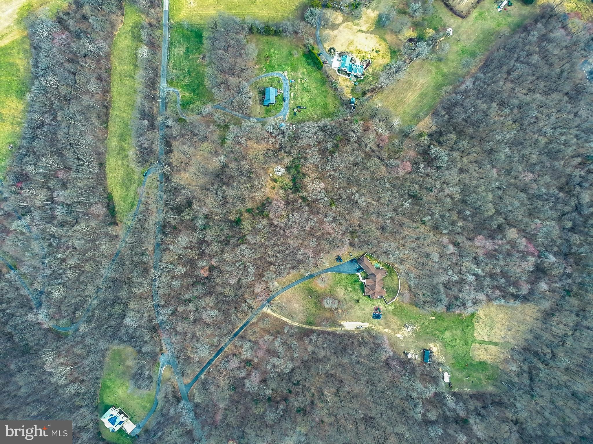 12801 Van Brady Road Upper Marlboro, MD 20772 - Photo 9 of 11 a bath tub sitting in middle of forest