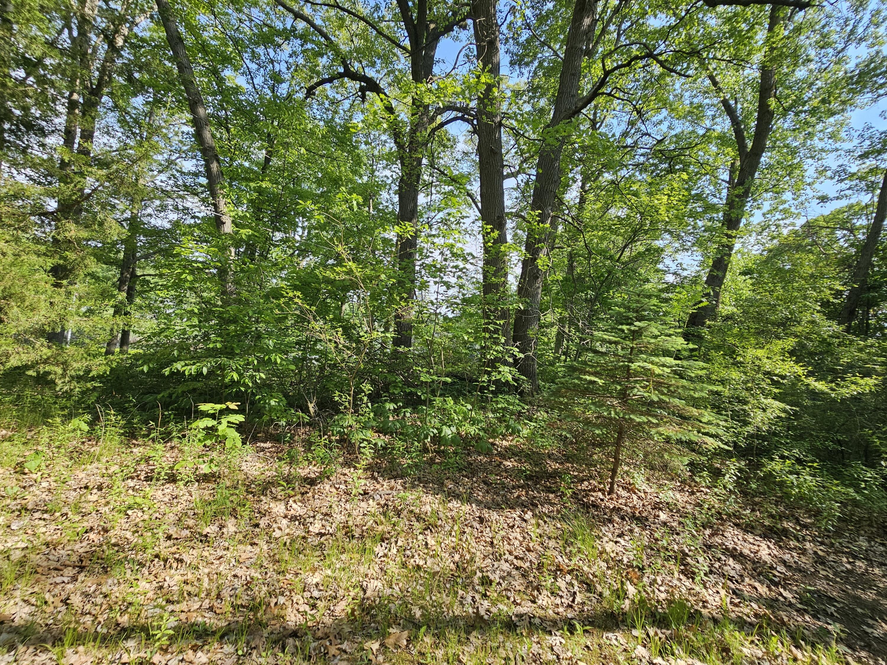5350 Eze Street Reading, MI 49274 - Photo 23 of 36 1000039224