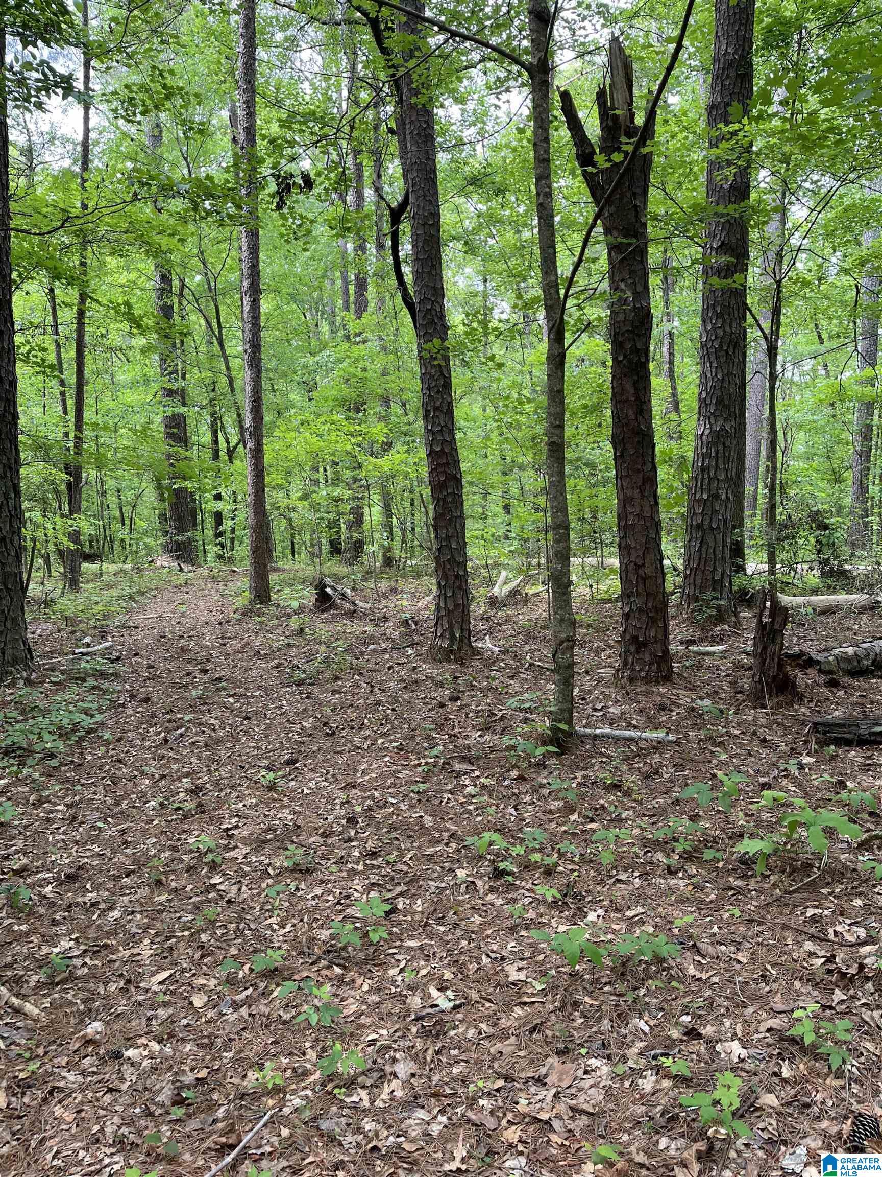 9538 Hicks Road, Unit 1 Pinson, AL 35126 - Photo 2 of 3