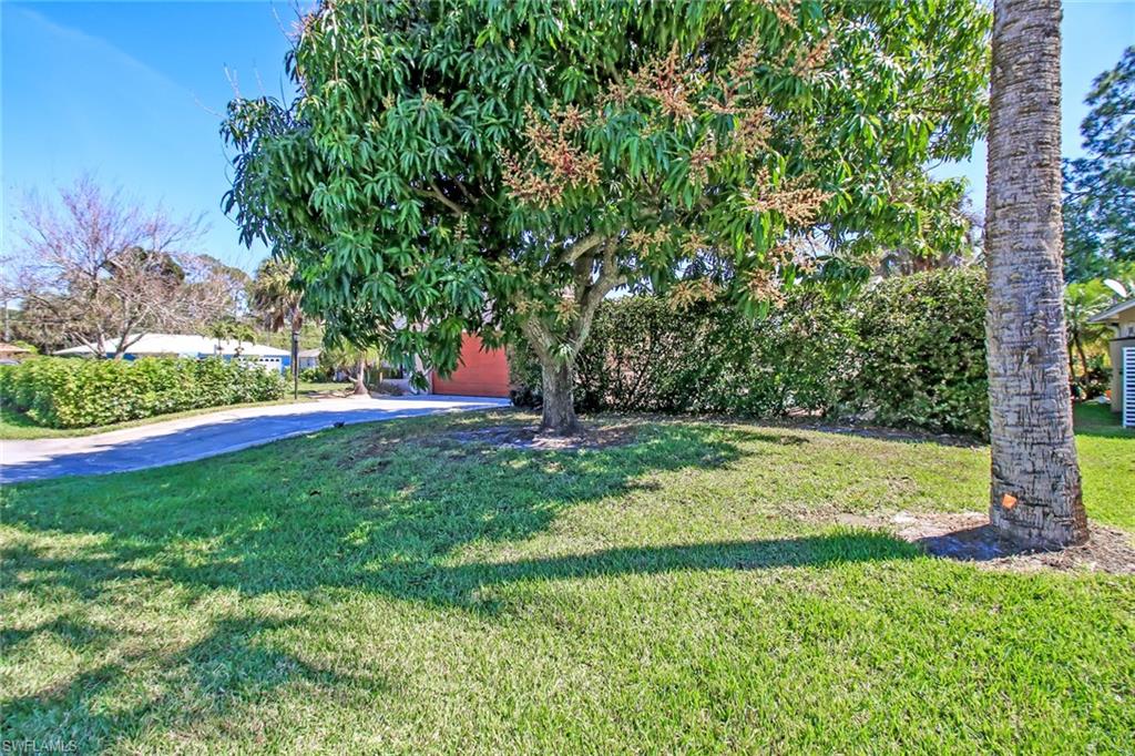 842 Roseate Drive Naples, FL 34104 - Photo 31 of 33 a view of a backyard with large trees