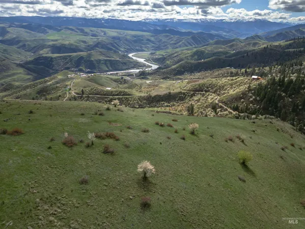 $129,000 | Tbd Blue Grouse Road, White Bird, ID 83554