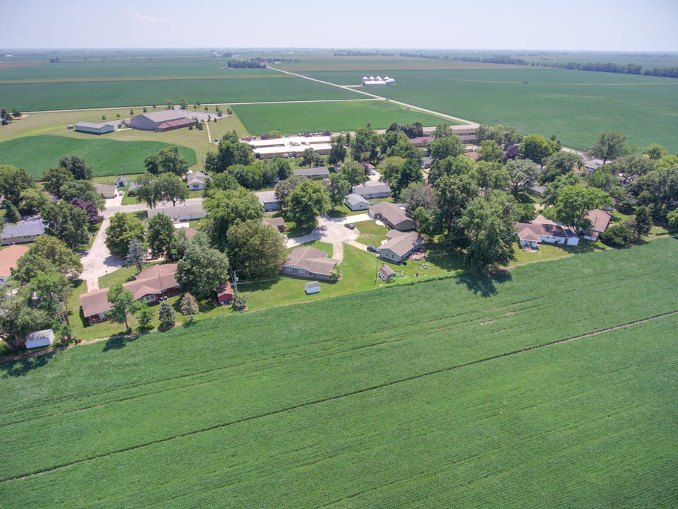 29 Pine Circle Tuscola, IL 61953 - Photo 26 of 27 a view of a house with a garden