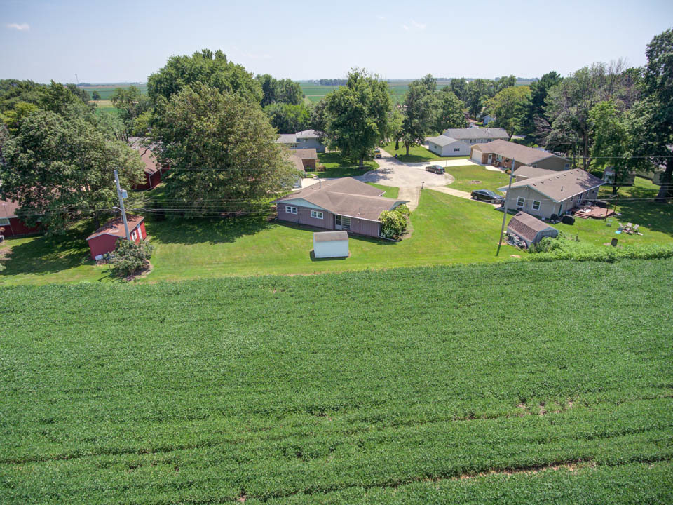 29 Pine Circle Tuscola, IL 61953 - Photo 27 of 27 a view of a garden with chairs