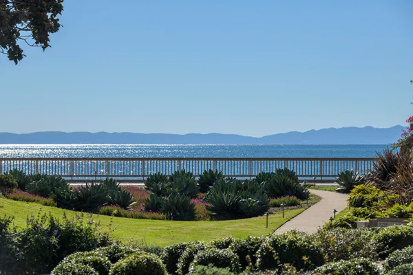 a view of a bunch of trees