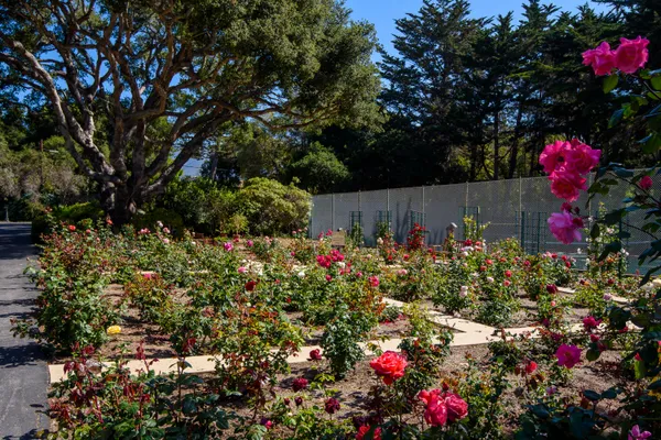 a view of beach and ocean