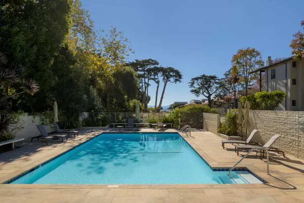 a view of a yard with flower plants