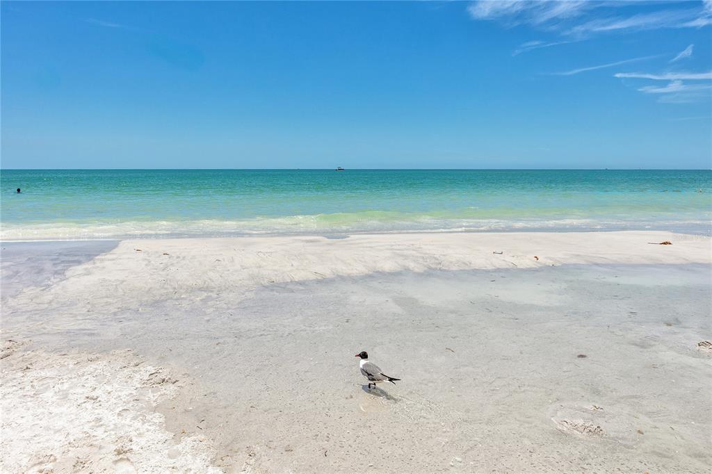 7100 Sunset Way, Unit 810 St. Pete Beach, FL 33706 - Photo 41 of 48