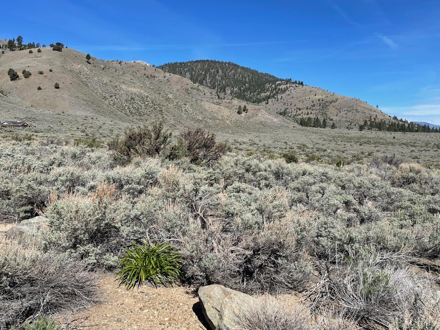 6 Hawkins Peak Road Markleeville, CA 96120 - Photo 3 of 5