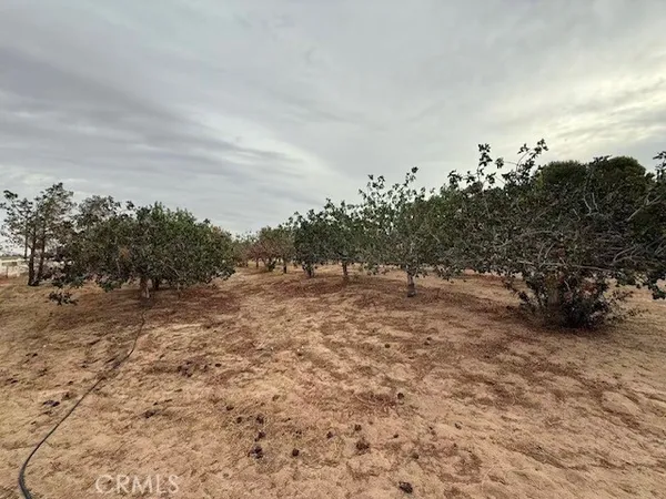 $385,000 | 33979 Fremont Road, Newberry Springs, CA 92365