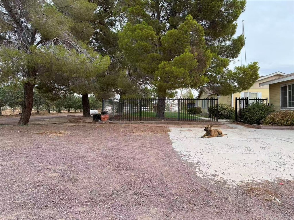 33979 Fremont Road Newberry Springs, CA 92365 - Photo 4 of 16 a view of road with trees