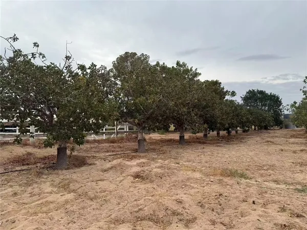 $385,000 | 33979 Fremont Road, Newberry Springs, CA 92365