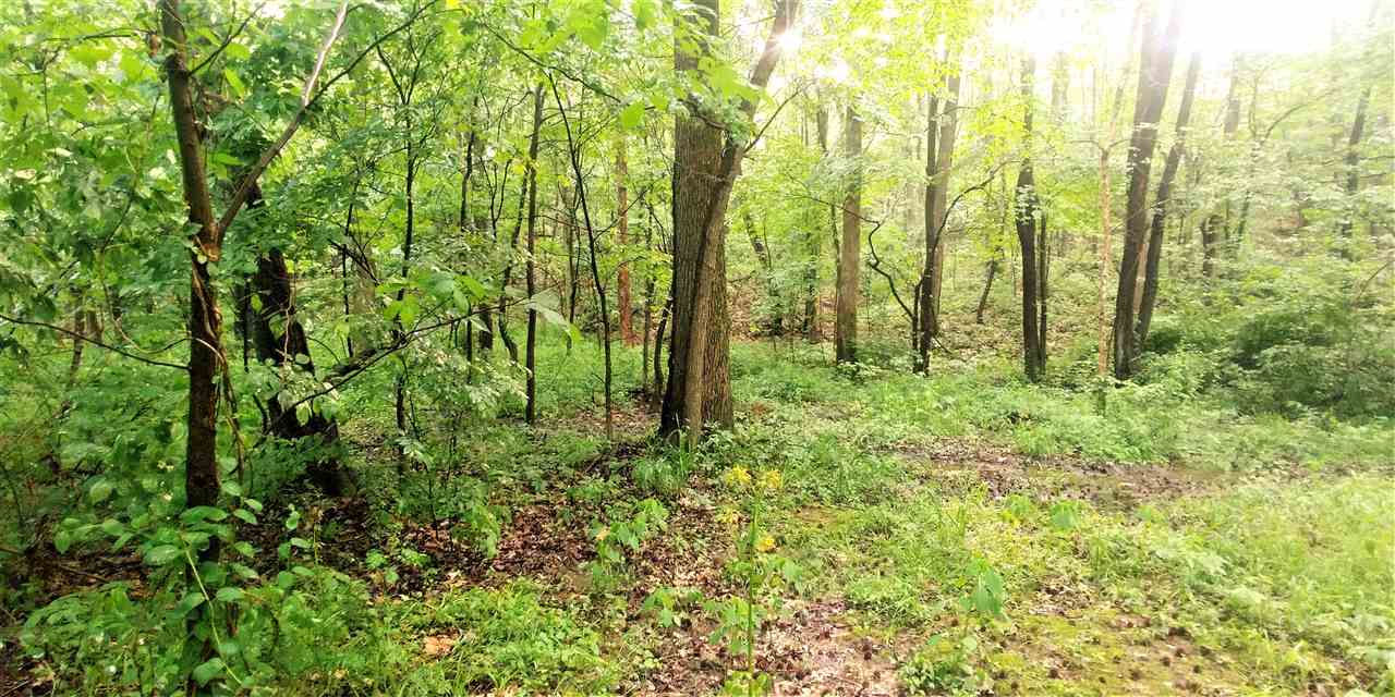 3911 Smith Road Boonville, IN 47601 - Photo 22 of 24 Gallery Image 22