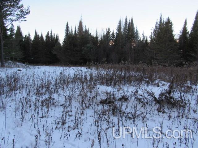 Tbd Tbd Tower Perkins, MI 49872 - Photo 20 of 22